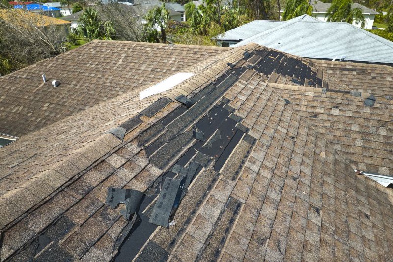 Roof Repair in Action