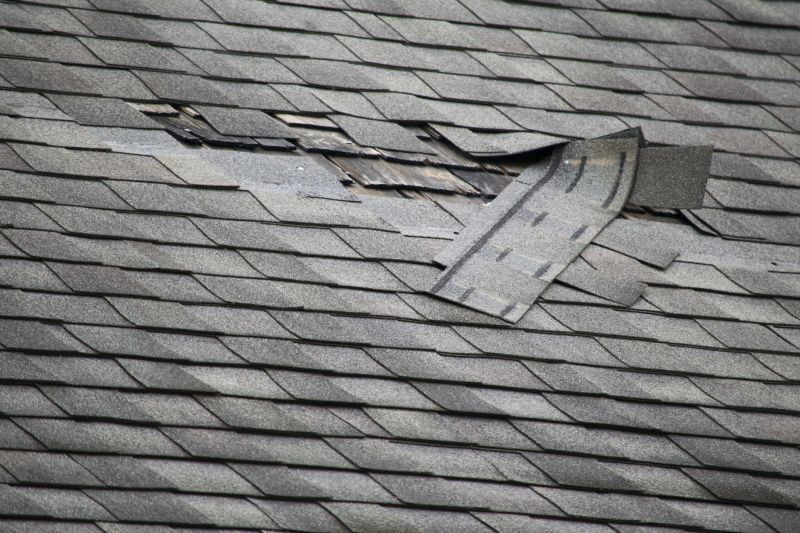 Roof Repair in Summer